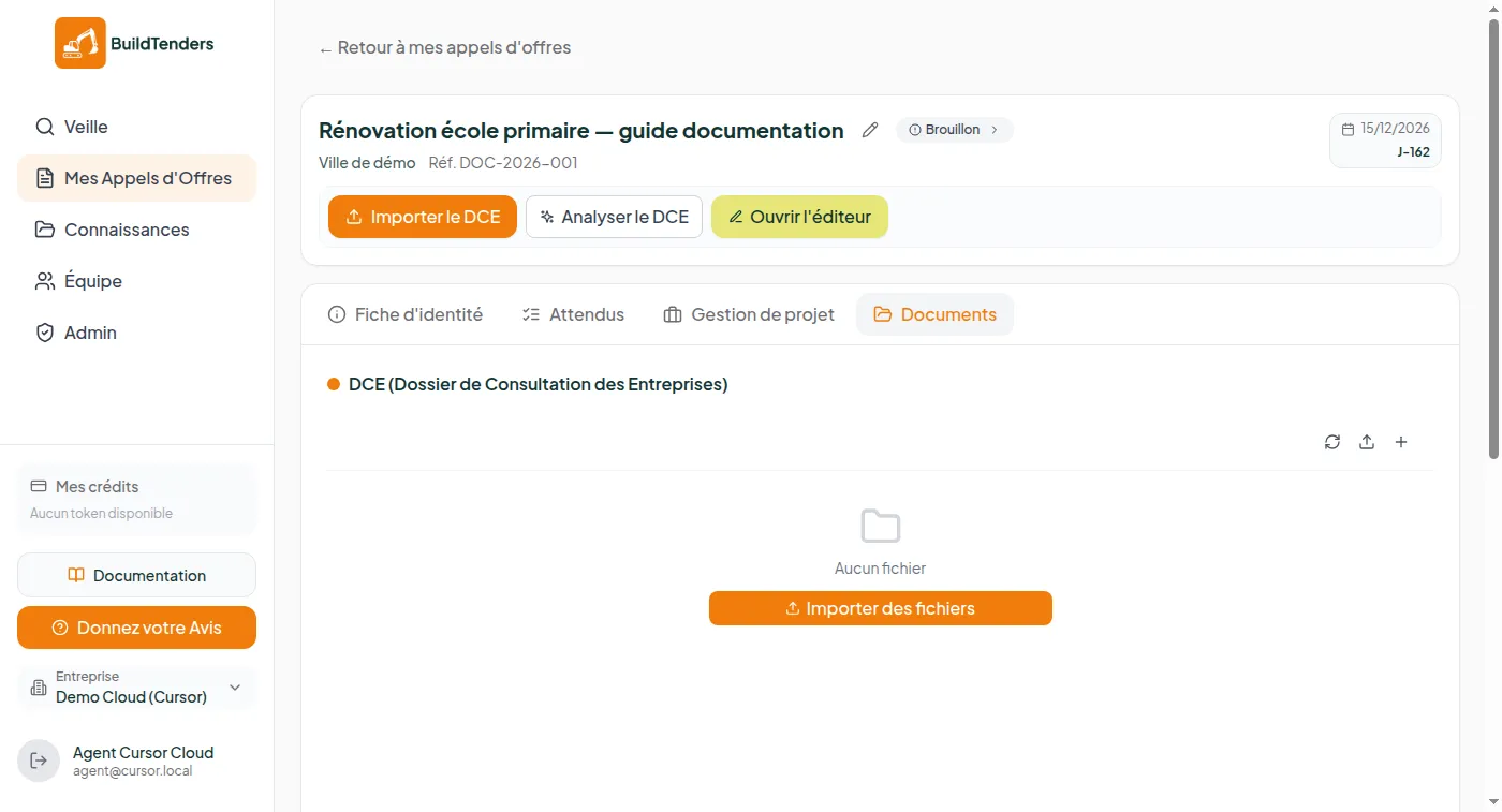 Onglet Documents avec zone DCE vide et bouton Importer des fichiers